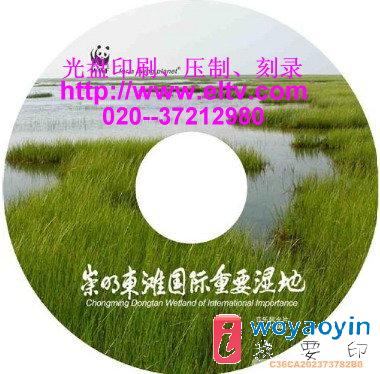 (yng)CDPӡˢVCDPzӡCD䛡b