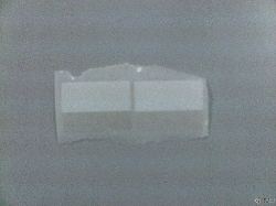 ُ(gu)ӡˢ(bio)